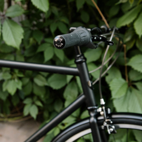 Велосипед BikeID Diamond 7 Matt Black (размер 53)