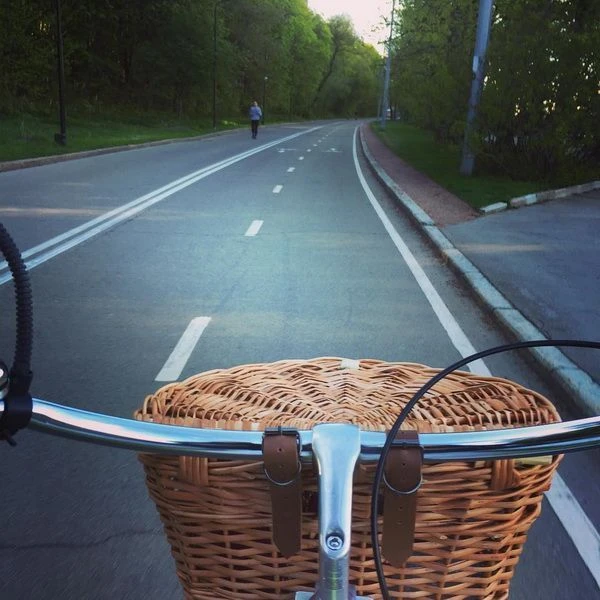 Корзина с крышкой на руль it's my!bike коричневая - фото 7