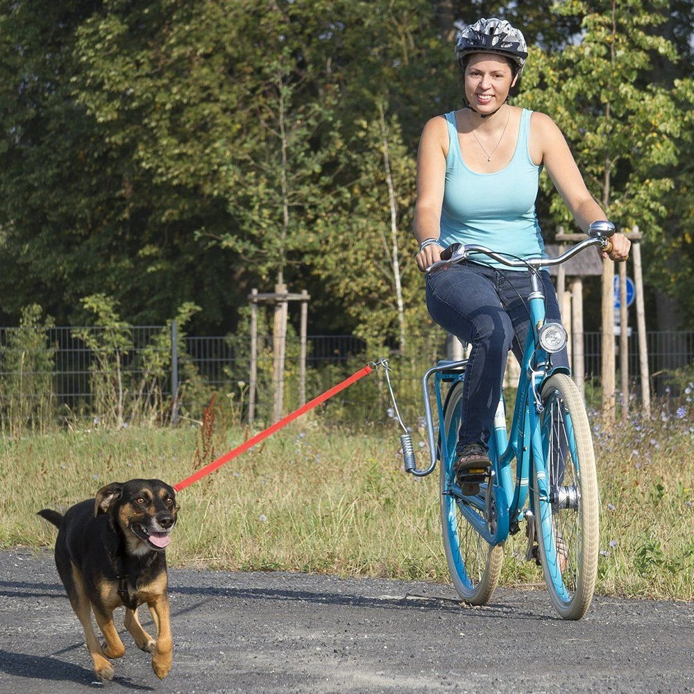 Велосипедный спрингер - держатель собаки, крепление поводка к велосипеду - фото 13