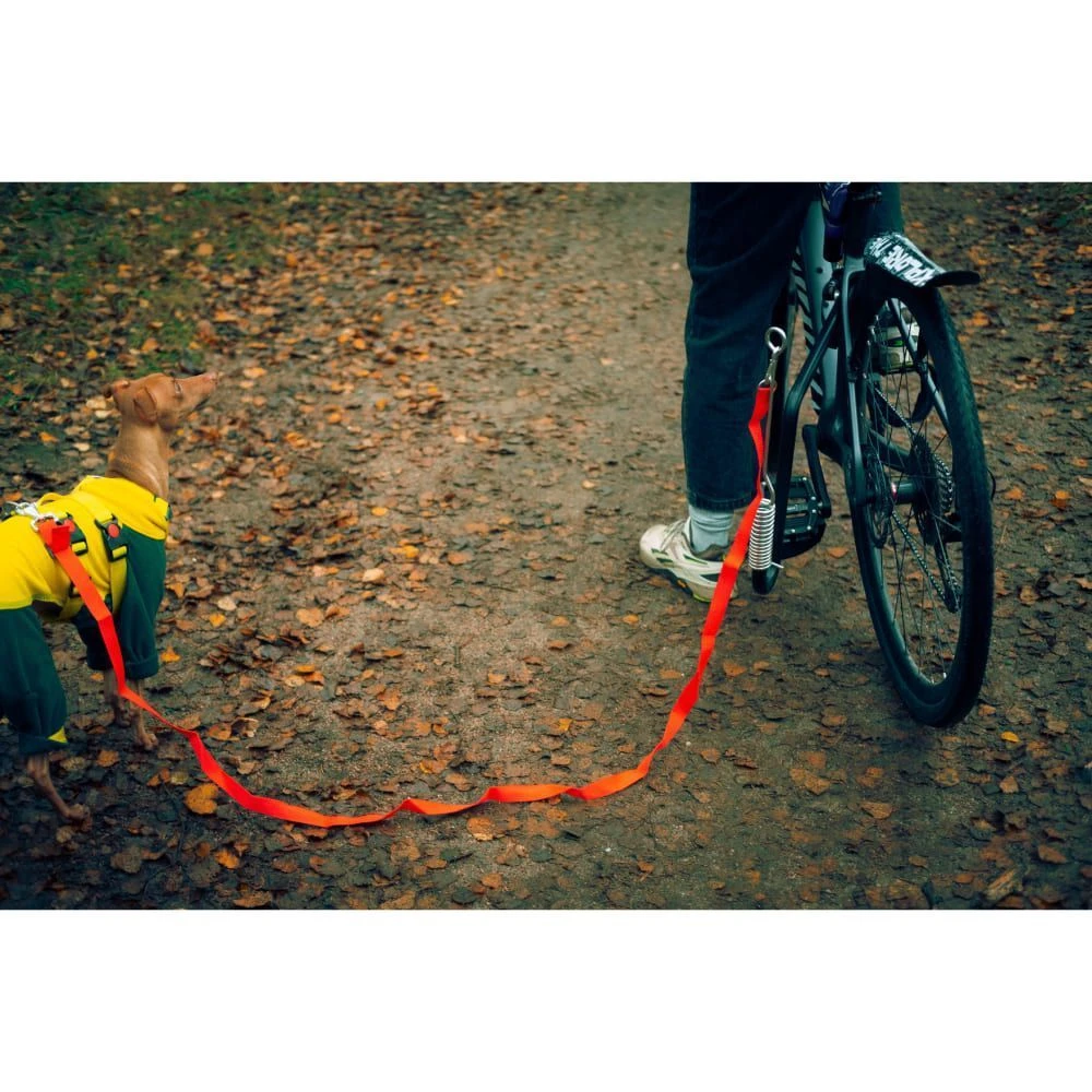 Велосипедный спрингер - держатель собаки, крепление поводка к велосипеду - фото 7