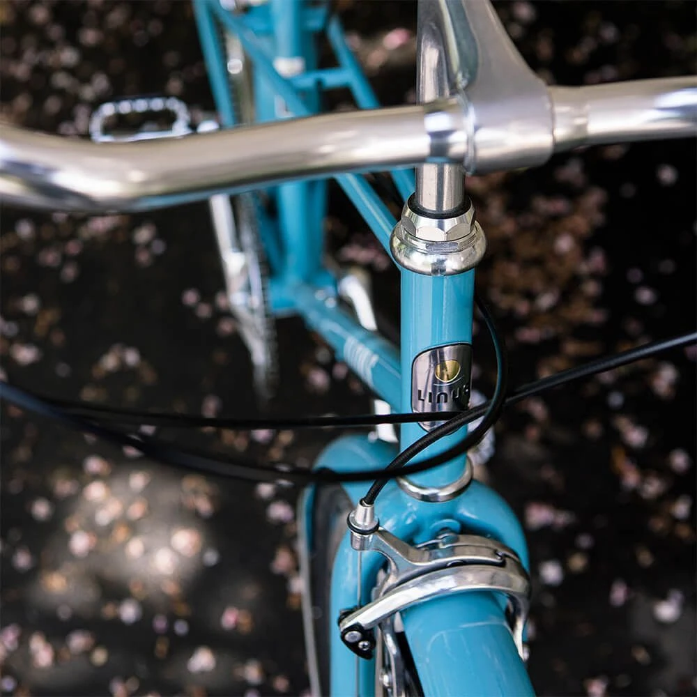 Велосипед LINUS MIXTE 3 SKY BLUE M - фото 2