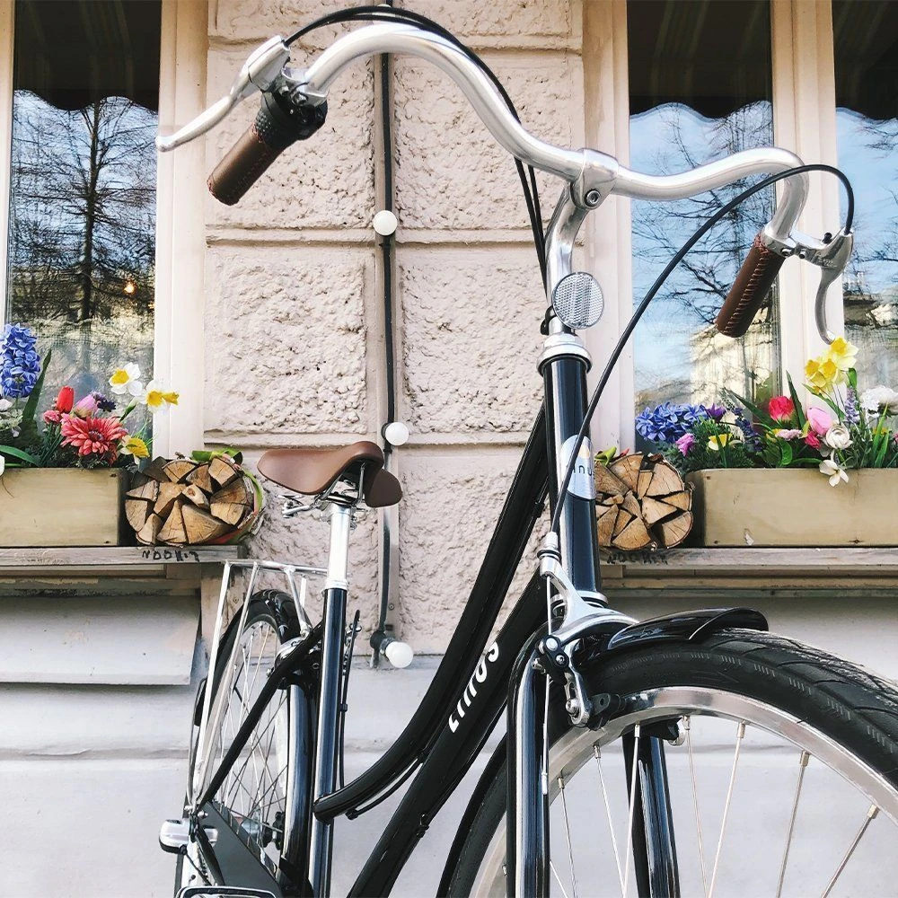 Велосипед LINUS DUTCHI 3 SPEED BLACK M - фото 2