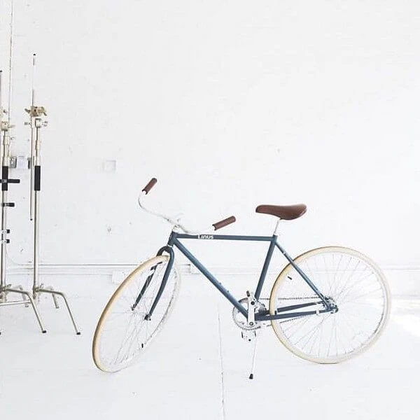 Велосипед LINUS ROADSTER CLASSIC SLATE M - фото 12