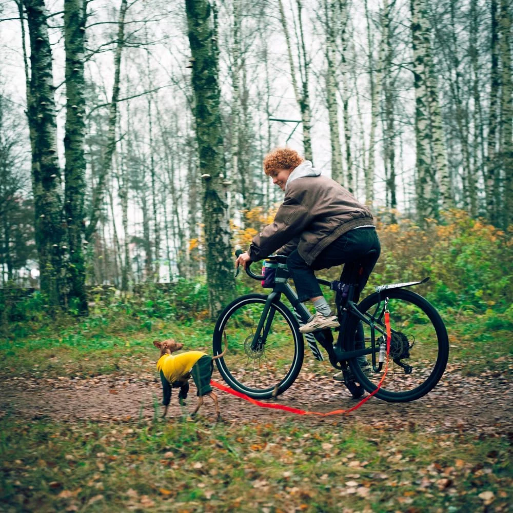 Велосипедный спрингер - держатель собаки, крепление поводка к велосипеду - фото 6