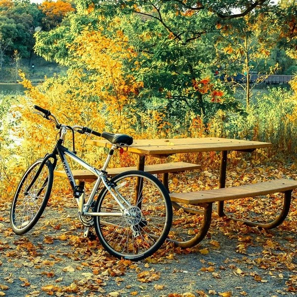 kak_ezdit_na_velospede_osenu