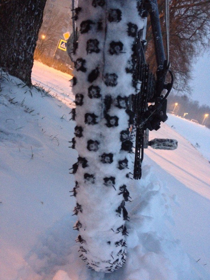 11171_1000.jpg 11171_1000.jpg