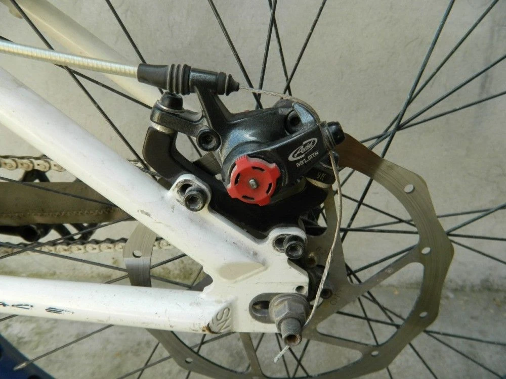 12257_1000.jpg 12257_1000.jpg