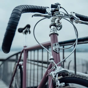 Велосипед Siech Cycles Race 8Speed Rose