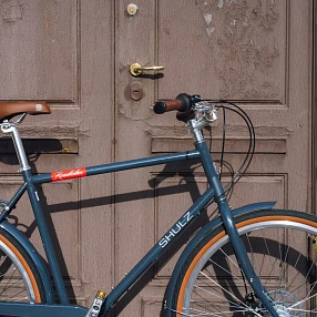 Велосипед Shulz Roadkiller 3 Speed L Grey