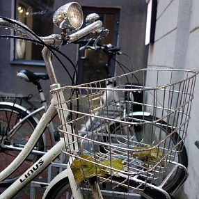 Велосипедная корзина эпохи классицизма