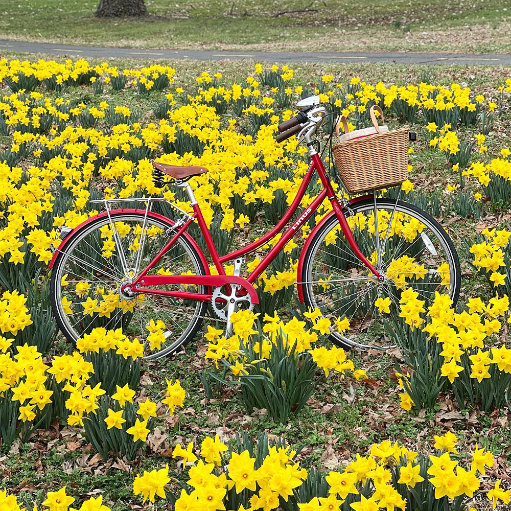 Велосипед LINUS DUTCHI 3 SPEED SCARLET RED M - фото 2