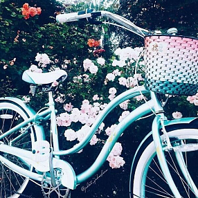 Корзина хорошая теплый градиент