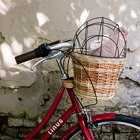 Велосипедная корзина для животных itsmybike малая