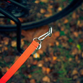 Велосипедный спрингер - держатель собаки, крепление поводка к велосипеду