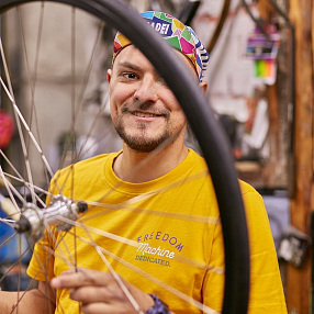 Футболка Dedicated Stockholm Freedom Machine Golden Yellow мужская