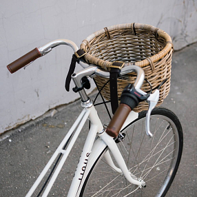 Велосипедная корзина из ротанга Фреа (модель 2124LXG)