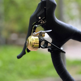 Звонок Crane E-NE SBR золотой