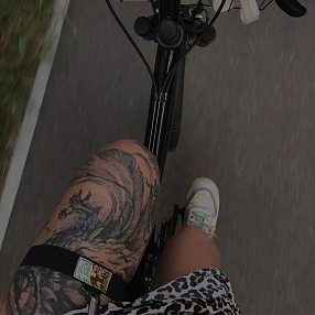 Велоподвязка Скромность