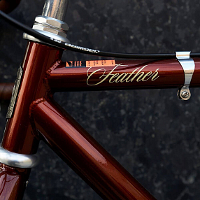 Велосипед Fuji Feather медный (размер 51)