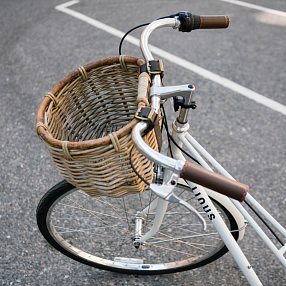Велосипедная корзина из ротанга Нанна (модель 2122LXG)