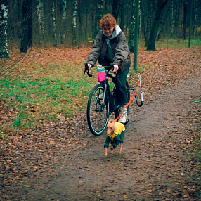 Велосипедный спрингер - держатель собаки, крепление поводка к велосипеду